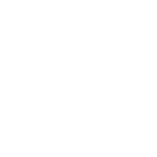 HANDGUN